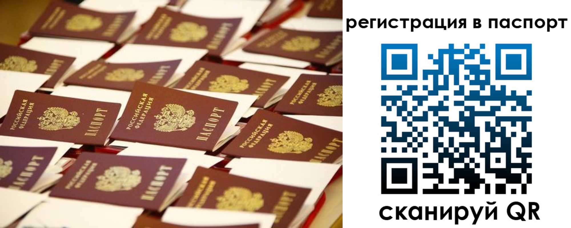 прописка гарантия в Дмитрове